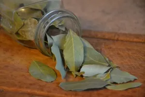 Tejpatta Bay-Leaf health benefits