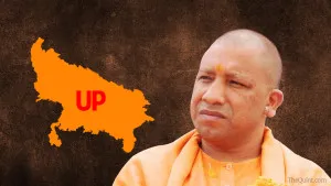 Yogi (1)