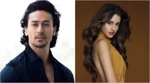 tiger-disha