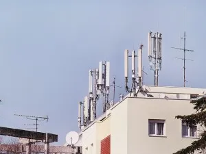 publive-image