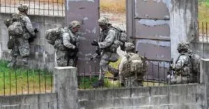 publive-image