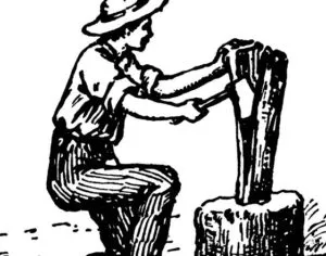 publive-image