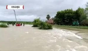 publive-image