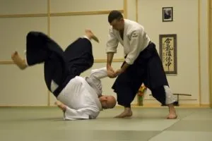 aikido 2