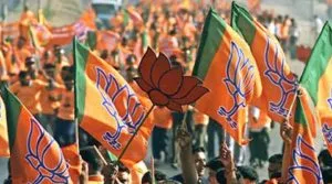 bjp-4804