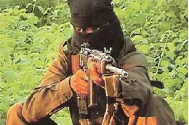 publive-image