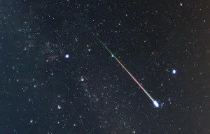 publive-image