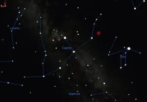 publive-image