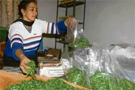 saag