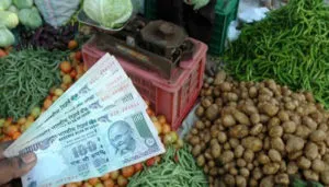 vegetable