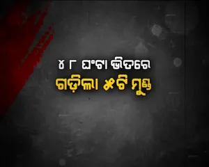 5 murder within 48 hour 