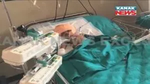 publive-image