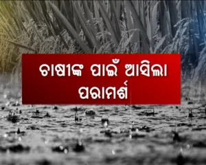 advisory for farmer