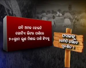 farmer advisory