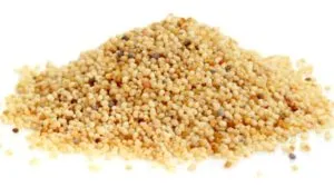 white-poppy-seeds_625x350_81449909924