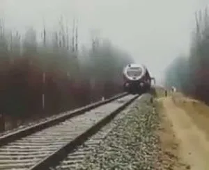 publive-image