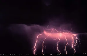publive-image