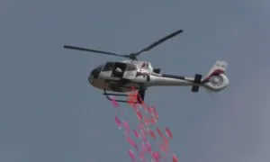 publive-image