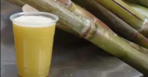 publive-image
