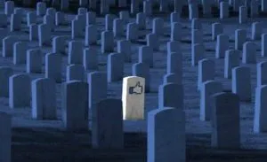 publive-image