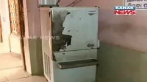 publive-image
