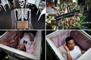 publive-image