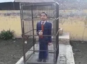 publive-image