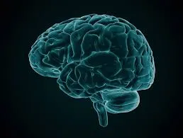 publive-image