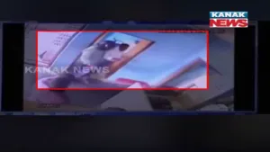 publive-image