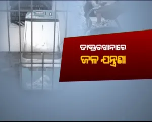 publive-image