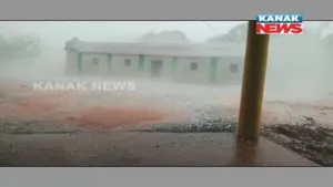 publive-image