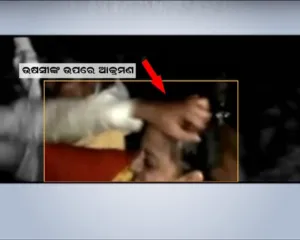publive-image
