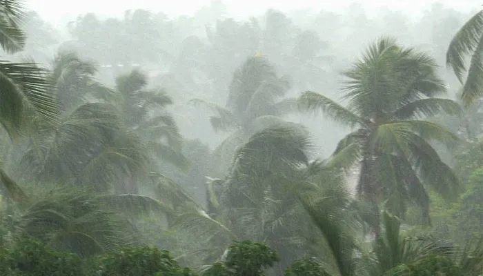 heavy rain