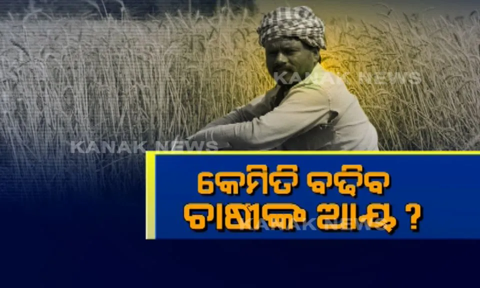 farmers income