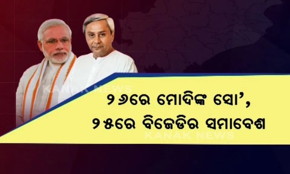 bjd program