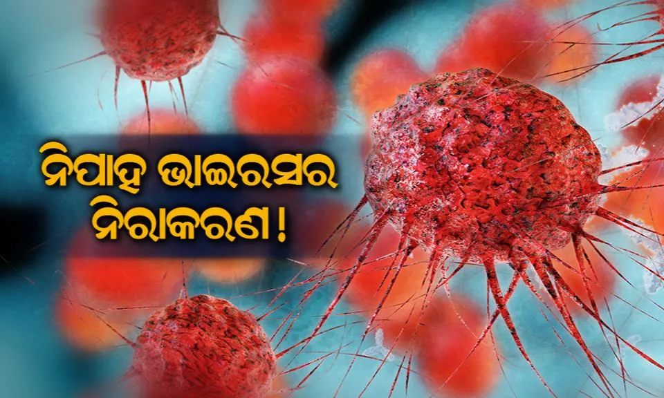 nipah virus