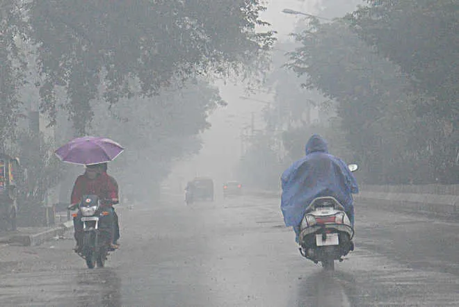 Rain