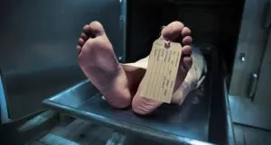 publive-image