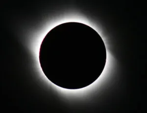 publive-image