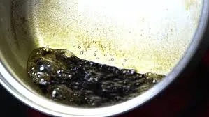 publive-image