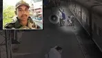 publive-image