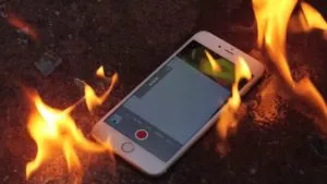 publive-image