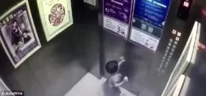 publive-image