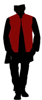 publive-image
