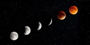 publive-image