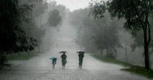 rain