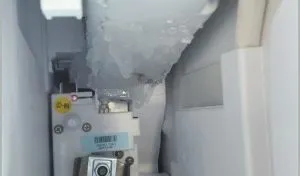publive-image