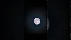 publive-image