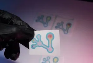 publive-image