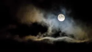 publive-image